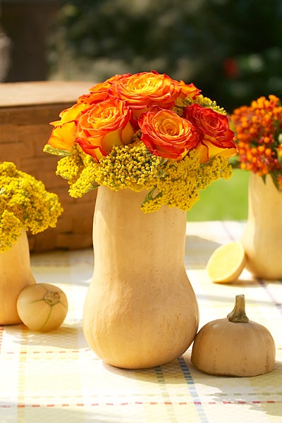 Butternut Squash