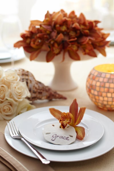 Sand Dollar and Orchid Centerpiece