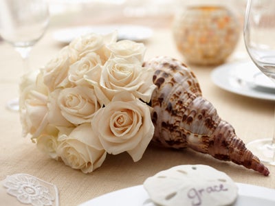 White Roses in Sea Shell