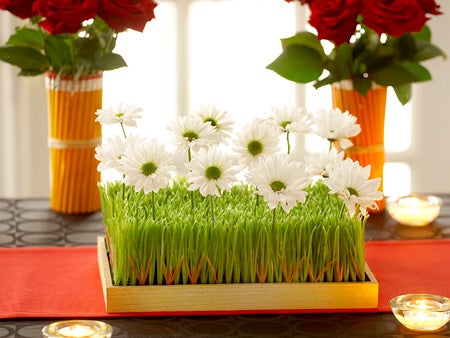 Pushing Daisies - Daisies and wheat grass center piece