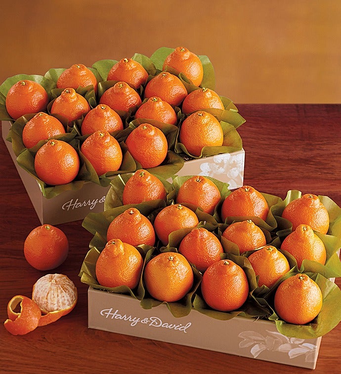 Harry & David Gourmet Foods & Gift Baskets