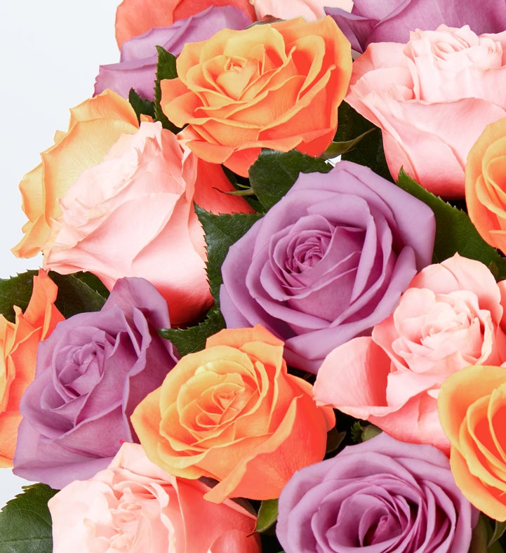 Mother’s Day Sorbet Roses: 18 Stems