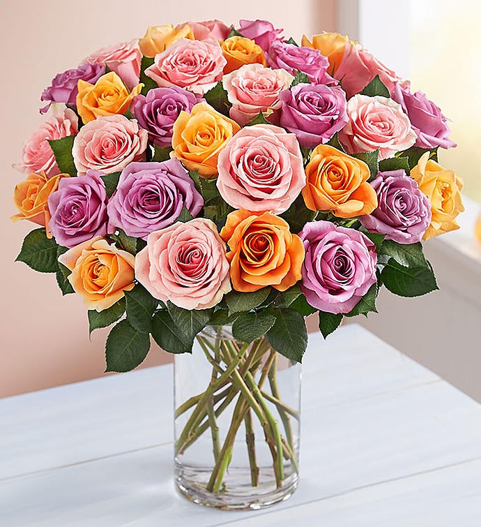 Sorbet Roses 36 Stems with Clear Vase
