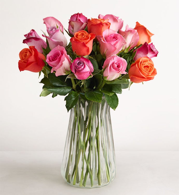 Sorbet Roses