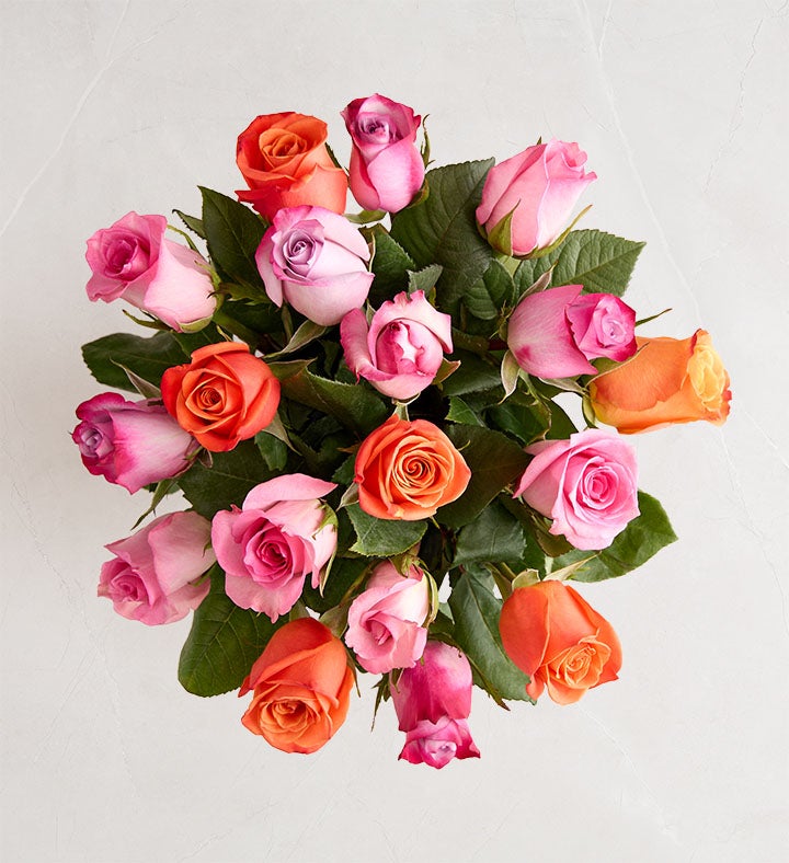 Sorbet Roses 18 Stems Bouquet Only