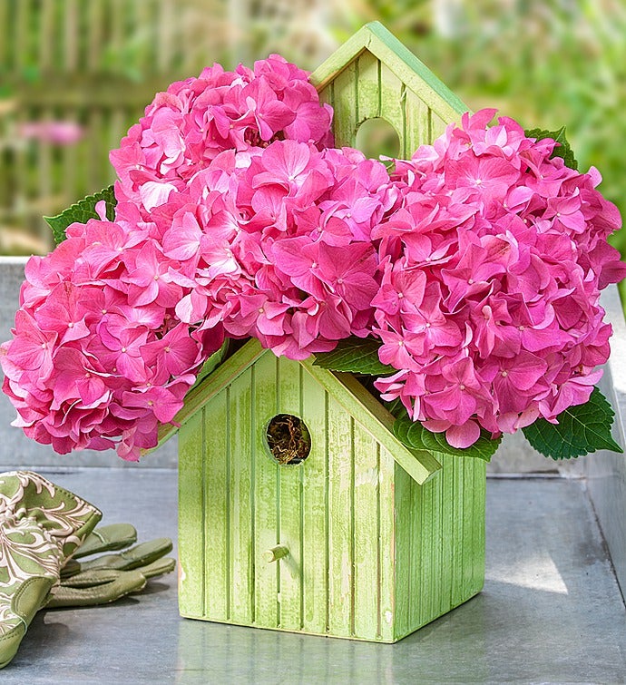 Bird House of Blooms®