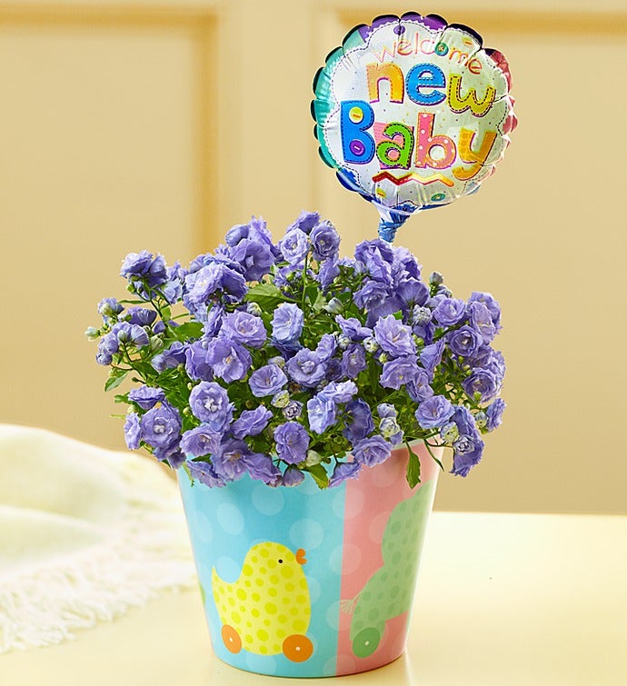 New Baby Flowers & Gifts New Mom Gifts