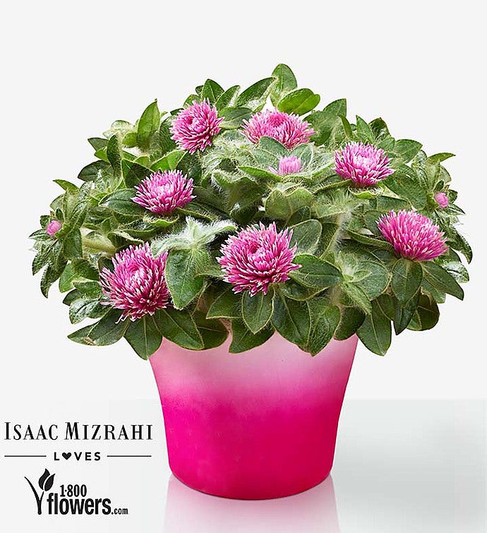 For Keeps   Pink Zazzle by Isaac Mizrahi