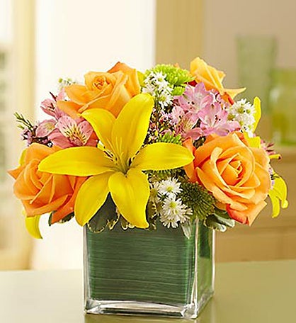 Fields of Europe™ in Cube Vase