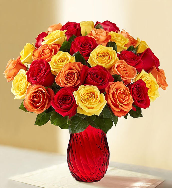 Autumn Roses: 36 for $36