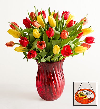 Our Favorite Fall Tulips™