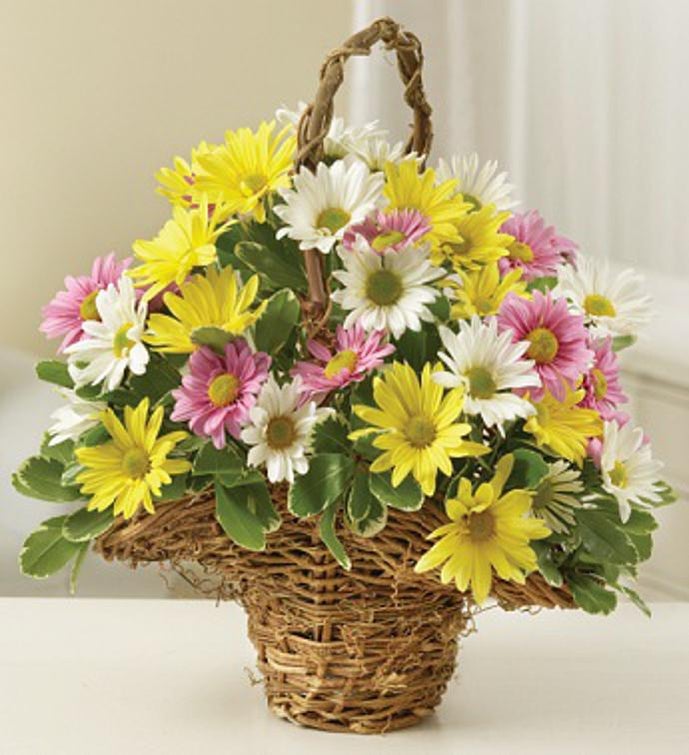 Pastel Color Daisy Basket