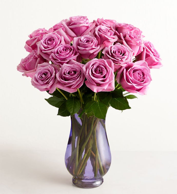 Passion for Purple Roses