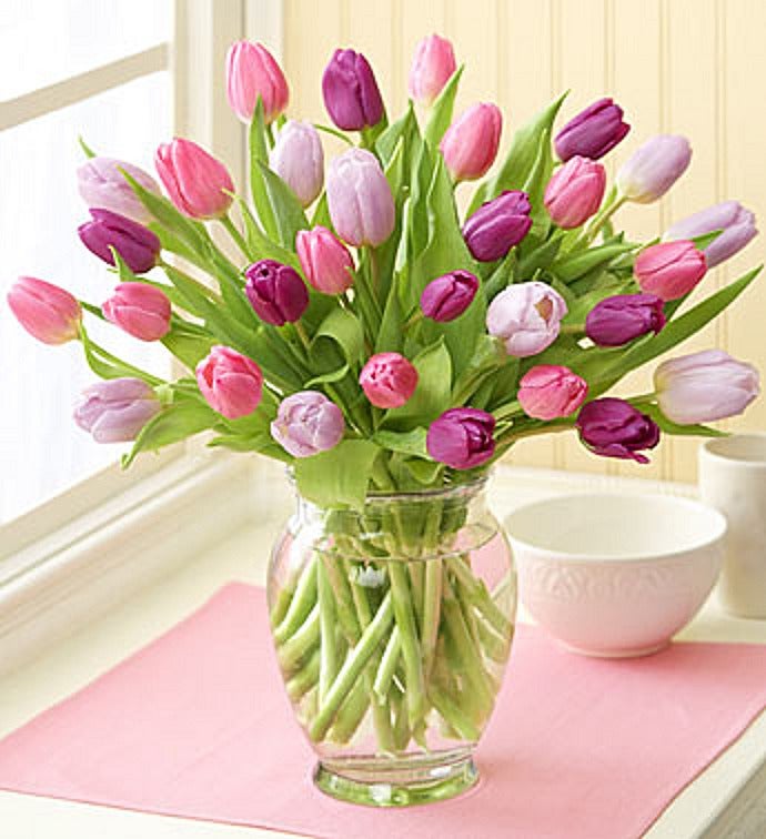 Pink Purple and Lavender Tulips