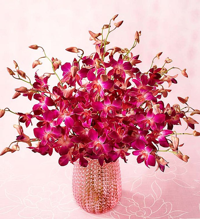 Vibrant Pink Orchids, 10 20 Stems