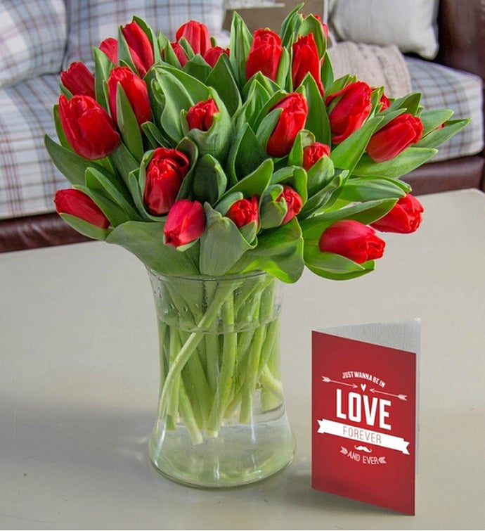 20 Valentine’s Day Tulips