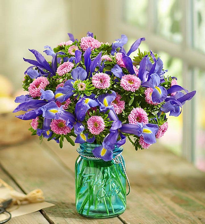 Fresh Cuts™ Pink  Aster & Blue Iris, 20 40 Stems