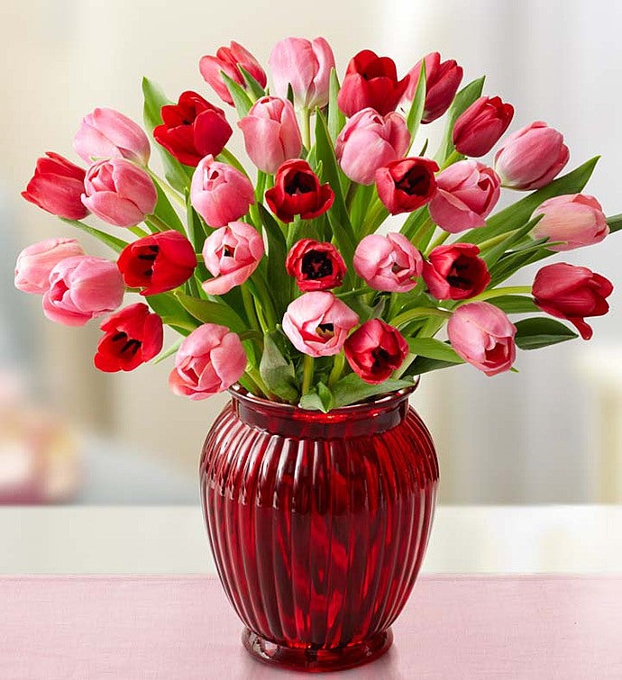 Sweetest Love Tulips, 30 for $30