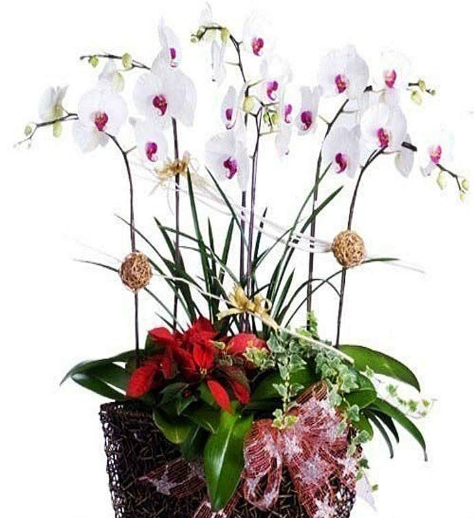 Send Flowers to Taiwan International Flower Delivery 1800Flowers