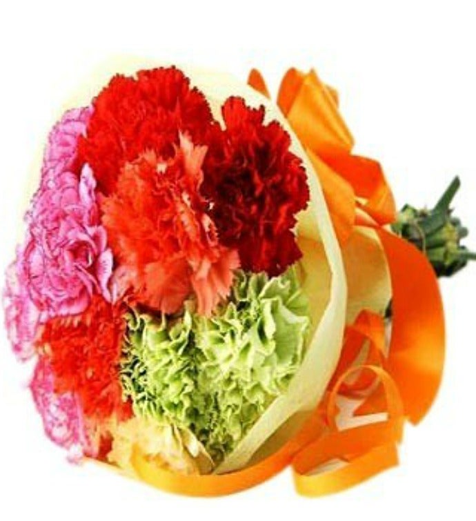 Colorful Carnations Bouquet