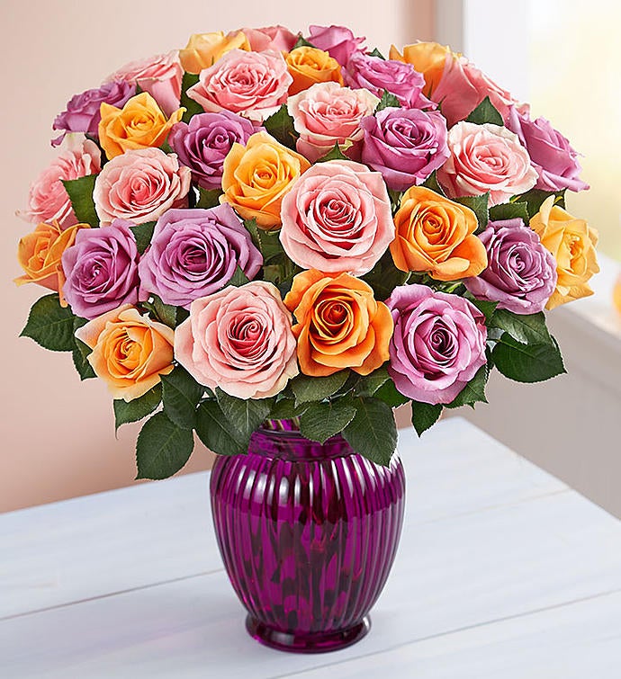 Sorbet Roses 36 Stems with Purple Vase