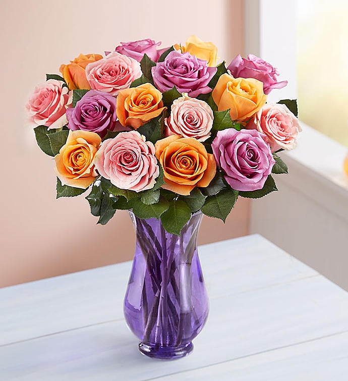 Sorbet Roses 18 Stems with Purple Vase