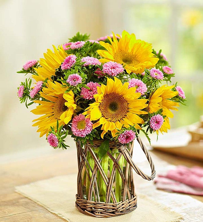 Fresh Cuts™ Sunbeam Sunflowers & Matsumoto