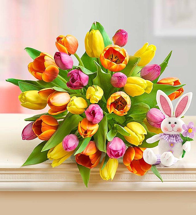 Easter Tulips 30 Stems with Bunny