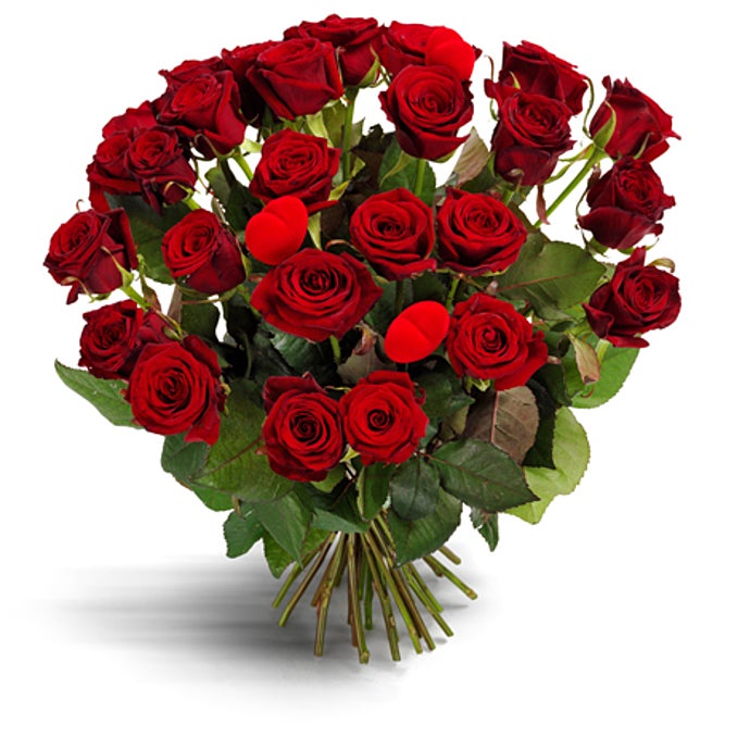Heartwarming Roses