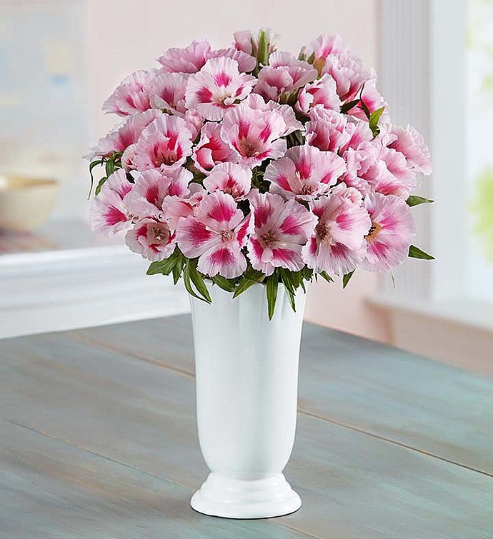 Pink Godetia Bouquet