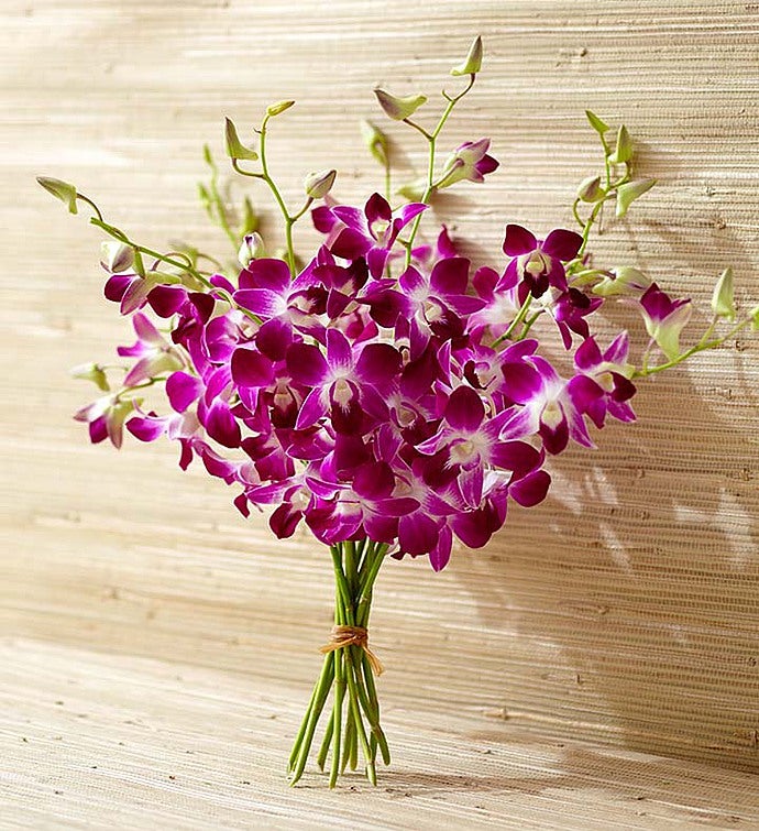 Exotic Breeze Orchids 10 Stems, Bouquet Only