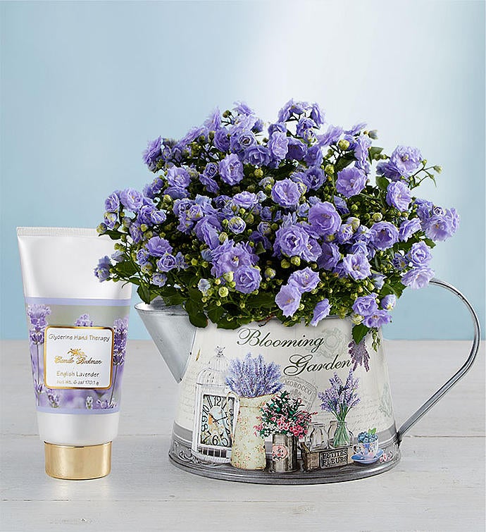 Spring’s Blooming Watering Can 157160