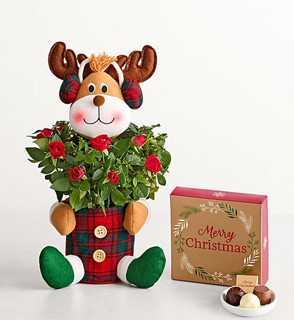 Red Rose Reindeer