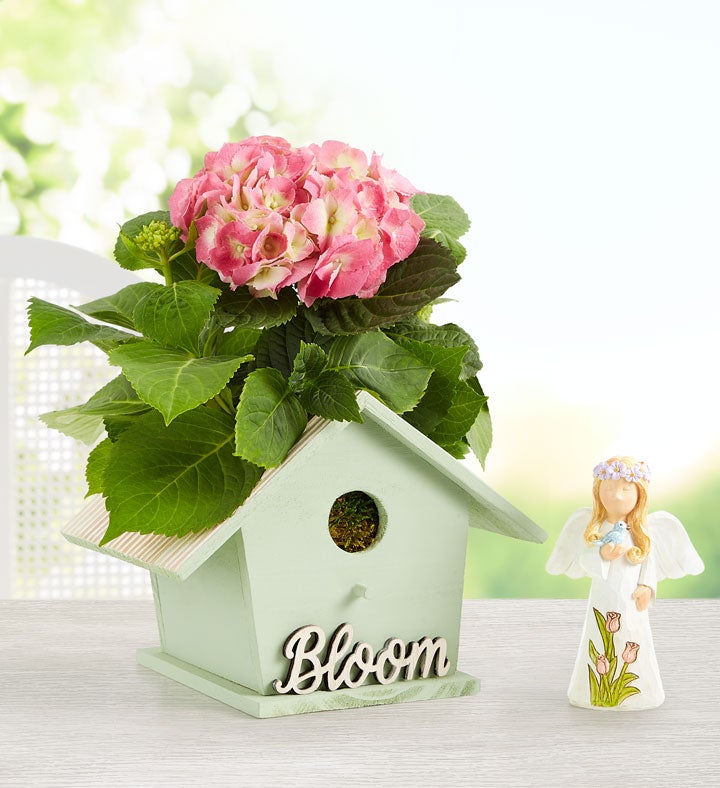 Blooming Birdhouse Hydrangea