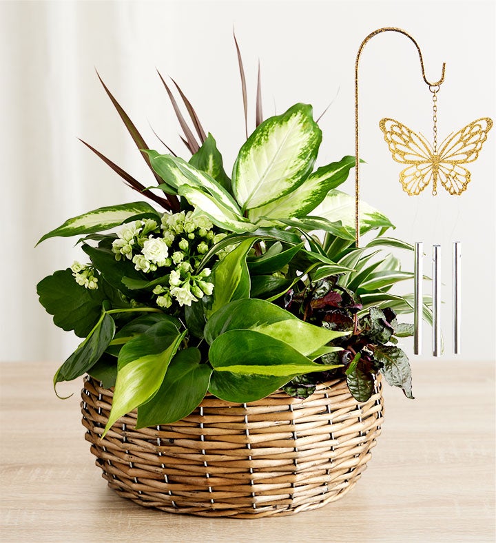 Butterfly Chime Dish Garden-Sympathy
