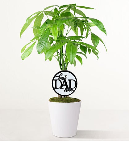 Best Dad Ever Money Tree