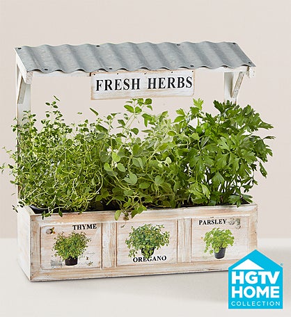 Herb Garden Trio