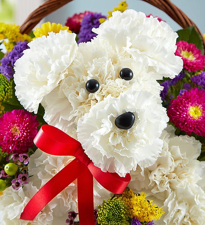 a-DOG-able® in a Basket | 1800Flowers.com - 161097