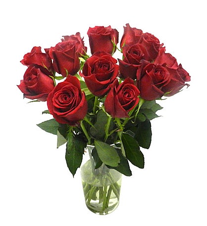 14 Red brazilian Roses (vase not included)
