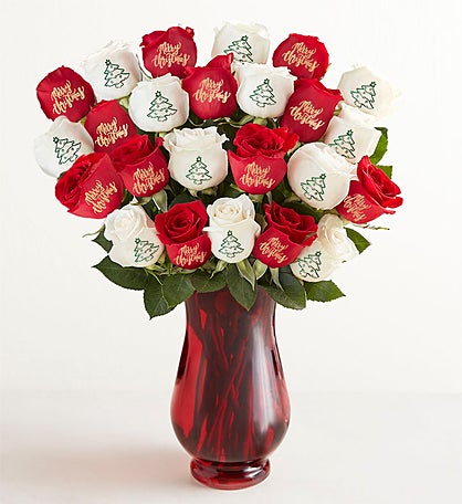 Conversation Roses™ Merry Christmas