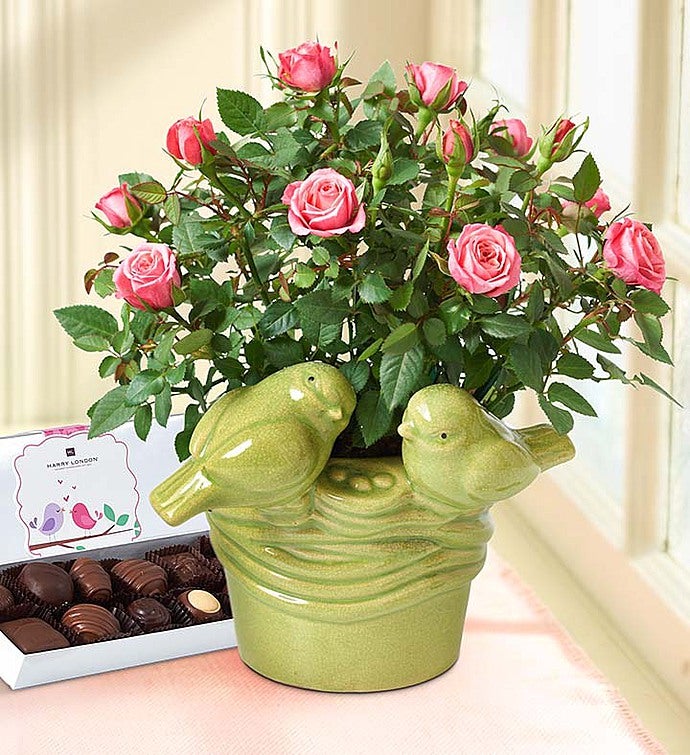 Valentines Flowers Delivery & Valentine's Day Gifts