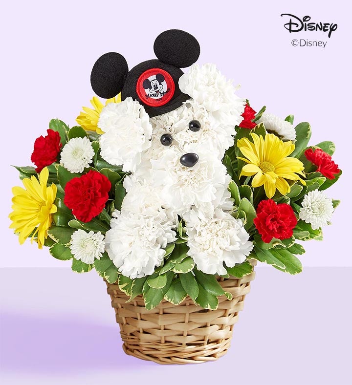 a DOG able® Disney Mickey Mouse