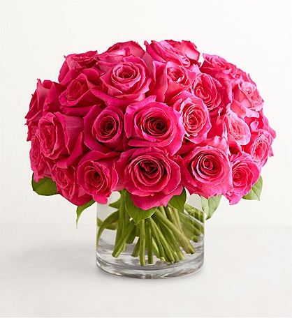 Contemporary Hot Pink Roses