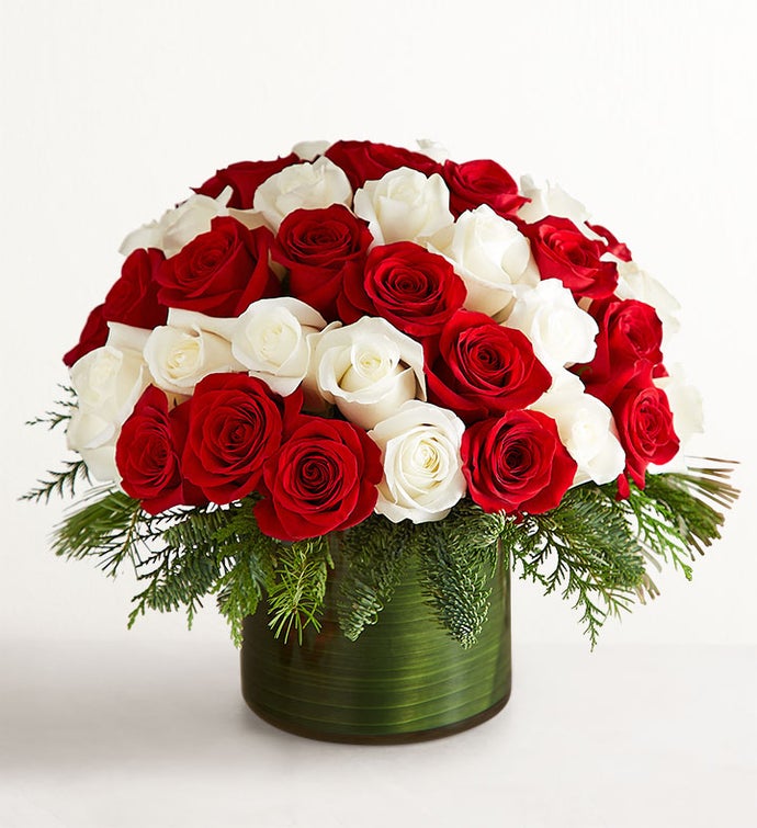 Candy Cane Swirl™ Roses