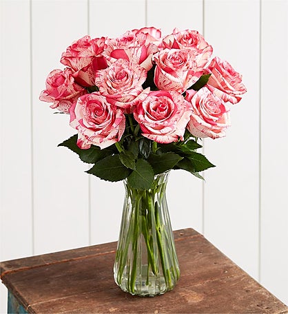 Pink Splash Roses