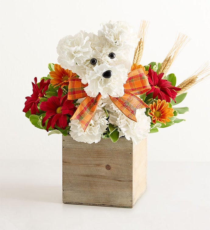 a DOG able® for Fall