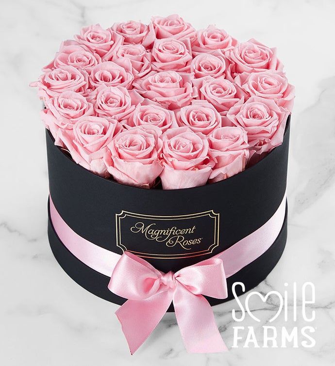 Magnificent Roses® Preserved Pink Roses