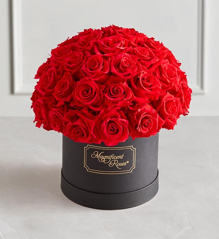 Magnificent Roses® Preserved Domani Red Roses