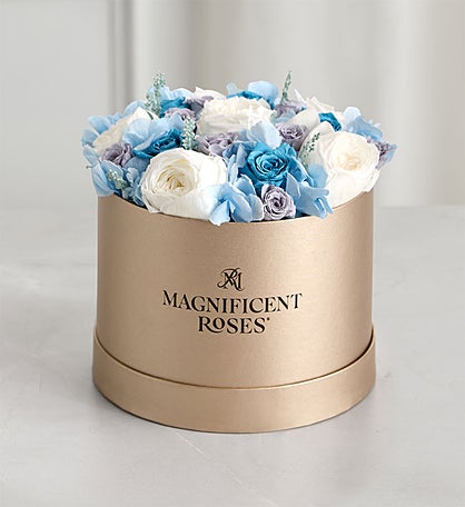Magnificent Roses® Preserved Coastal Bliss