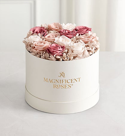 Magnificent Roses® Preserved Blushed Beauty